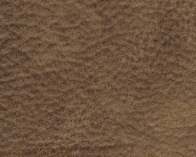 31901-SWATCH-BODY